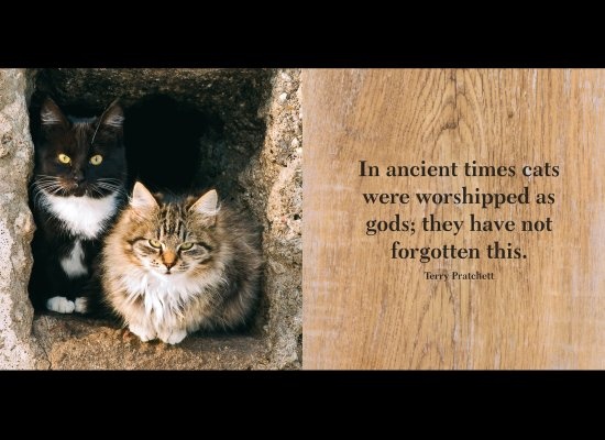 1af82b366f0ab79f9b45bb8904d7cab5