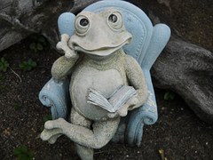 frog-18121__180