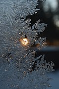 frost-508329__180