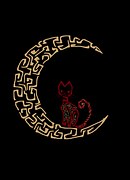 midnight-498871__180