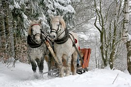 sleigh-ride-549727__180