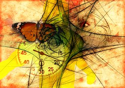 butterfly-744115__180