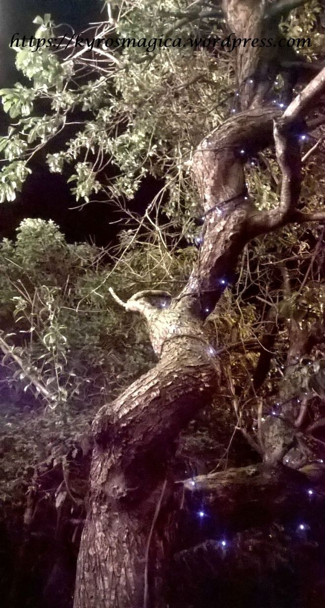 WP_20150912_22_47_28_Pro