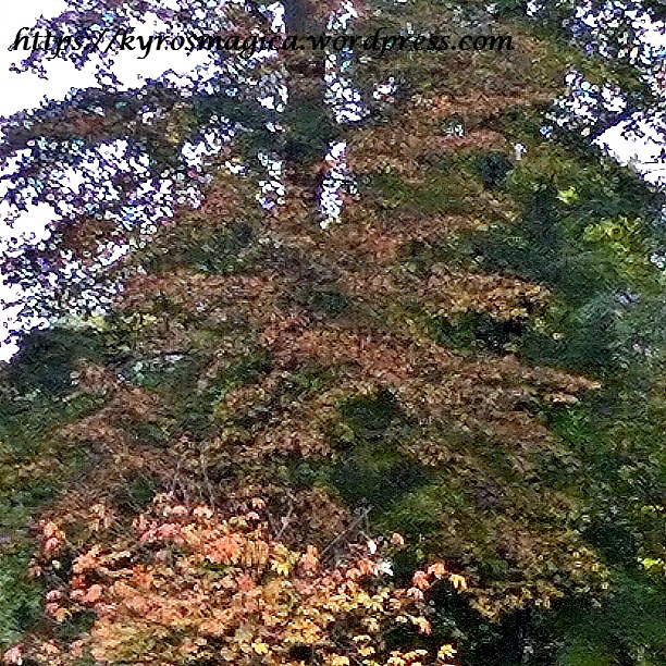 InstagramCapture_bd3a7420-9969-4765-a88e-fa9170a4b477[1]