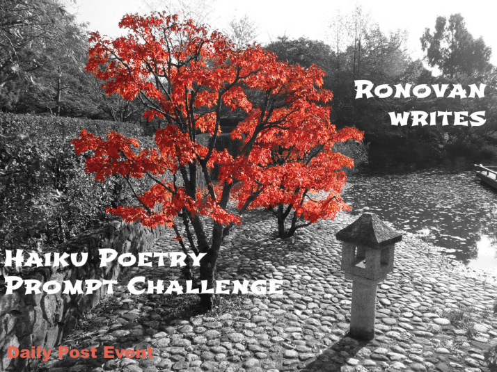 haiku-challenge-image