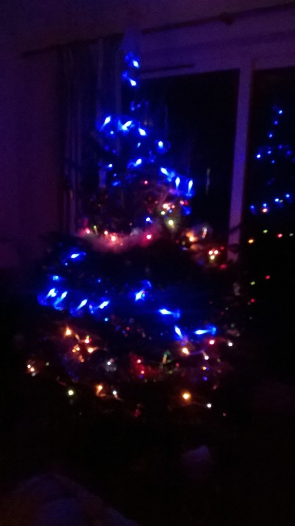 WP_20151212_19_08_21_Pro[1]