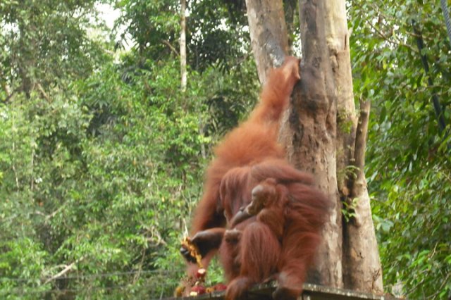 31696_120401957978393_7360210_n