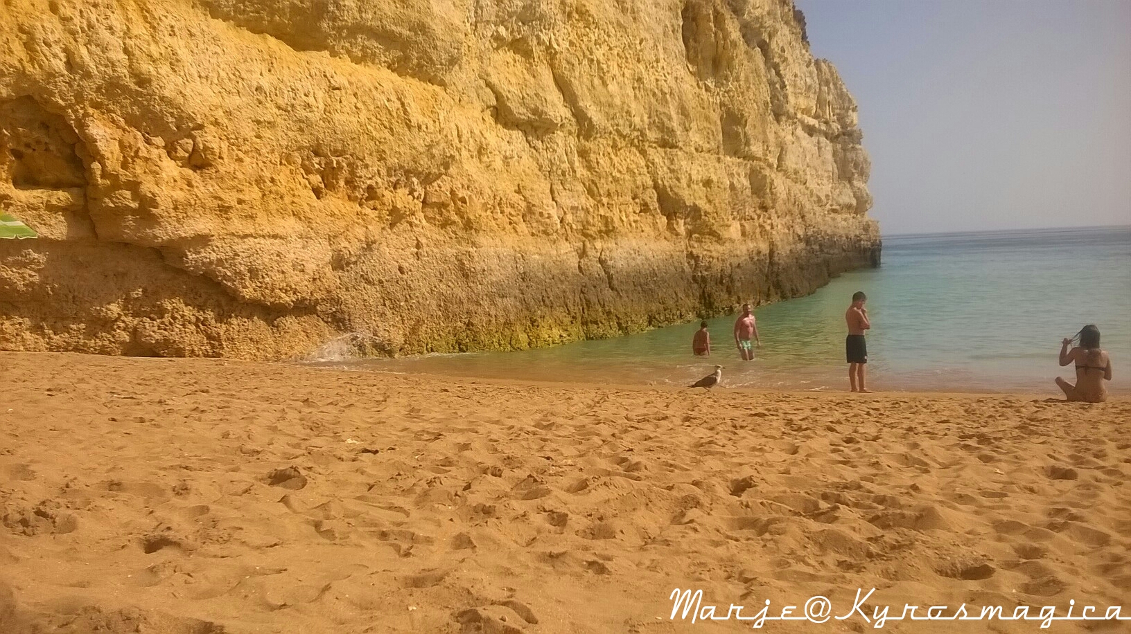 wp_20160906_16_36_00_pro