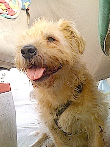 Danny Introduces a&nbsp;Friend…