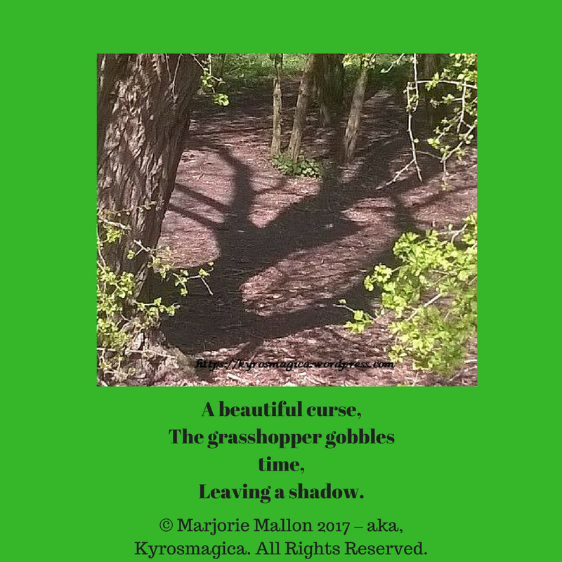 Life can take youhigher than anyother kind of drug.