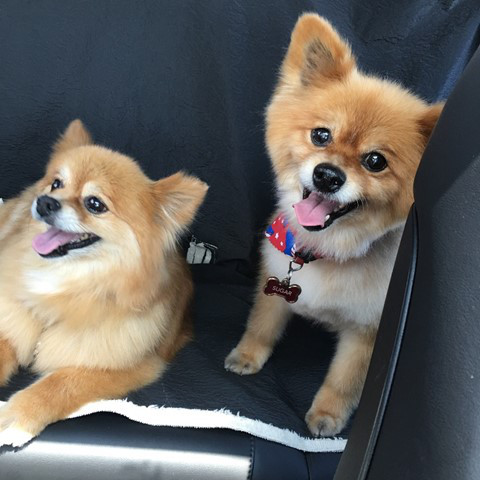 070417_1536_colleenswee12