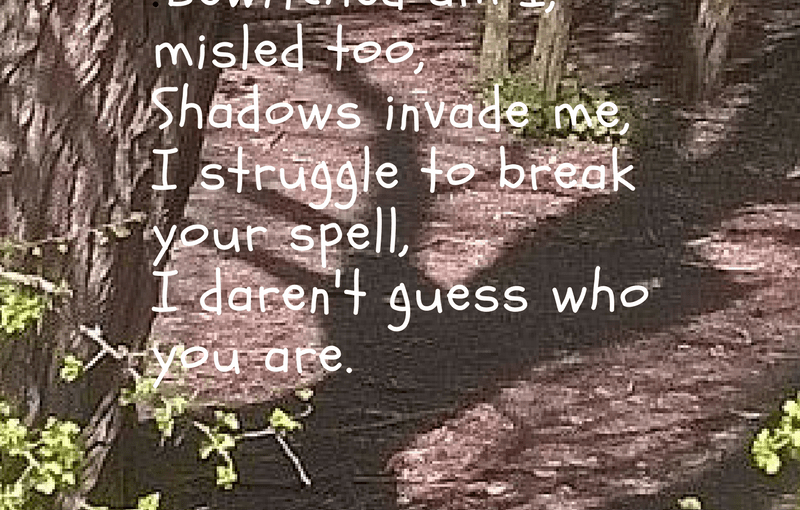 Colleen Chesebro’s Tanka Poetry Challenge No 77 : Charm and&nbsp;Time