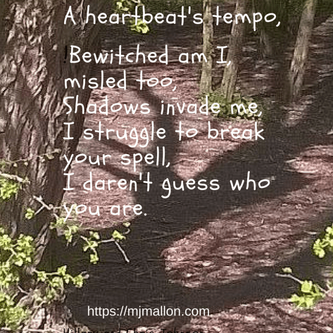 We are having a baby girl!