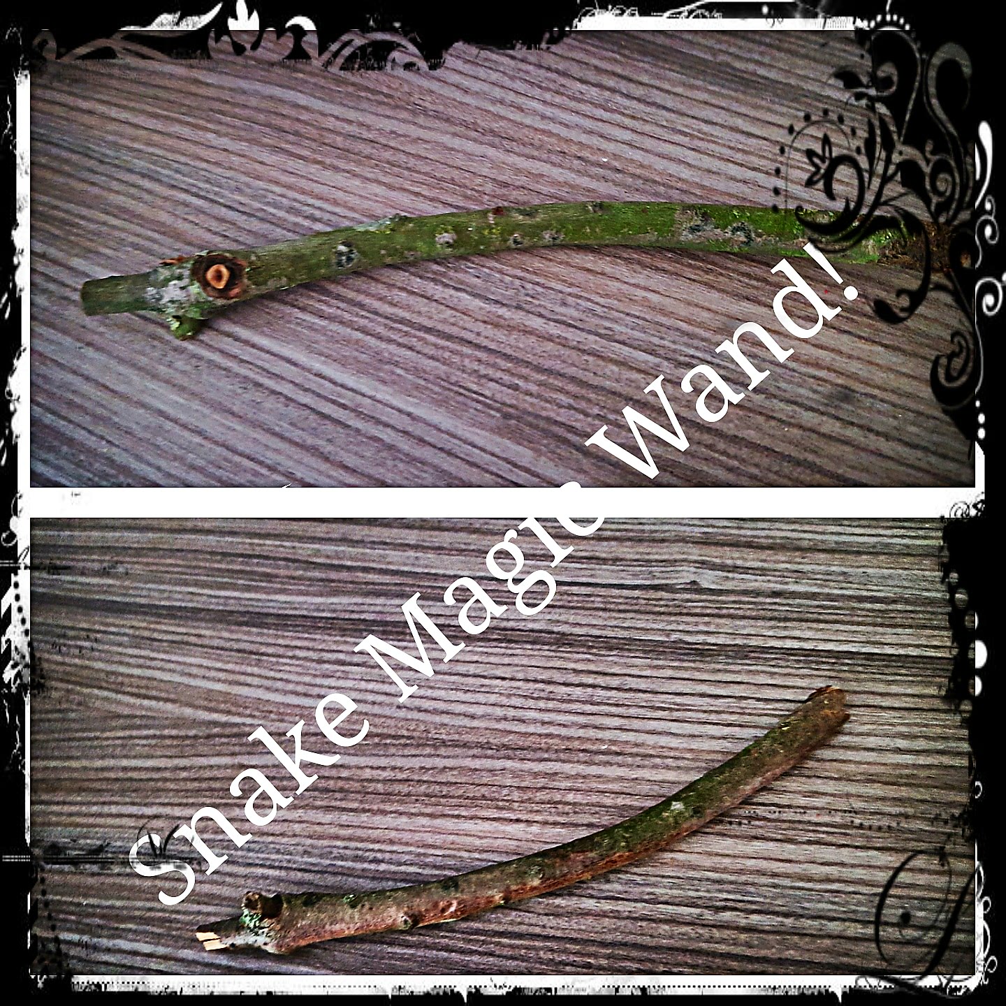 IMG_20180818_112317_741