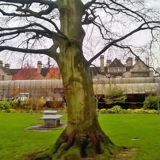 instagramcapture_735e4855-5fb9-4781-aaef-9120366326b21