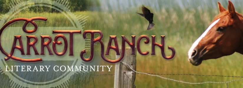 July 25: Flash Fiction&nbsp;Challenge