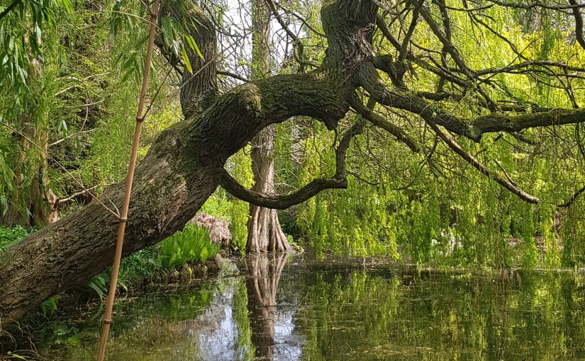 Colleen’s 2019 Weekly #Tanka Tuesday #Poetry Challenge No.&nbsp;135