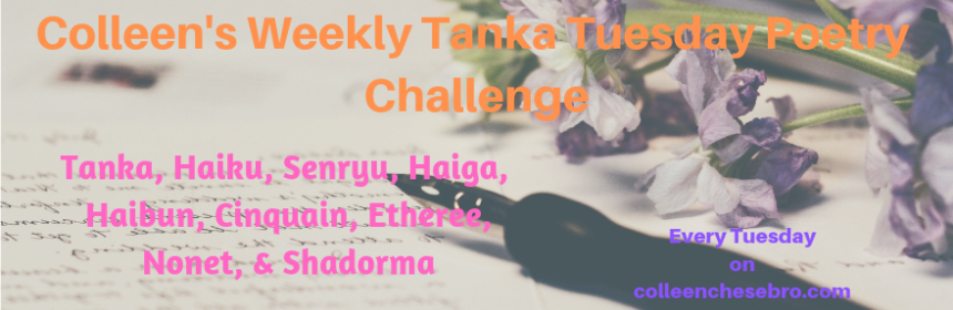 colleens-weekly-tanka-tuesday-poetry-challenge