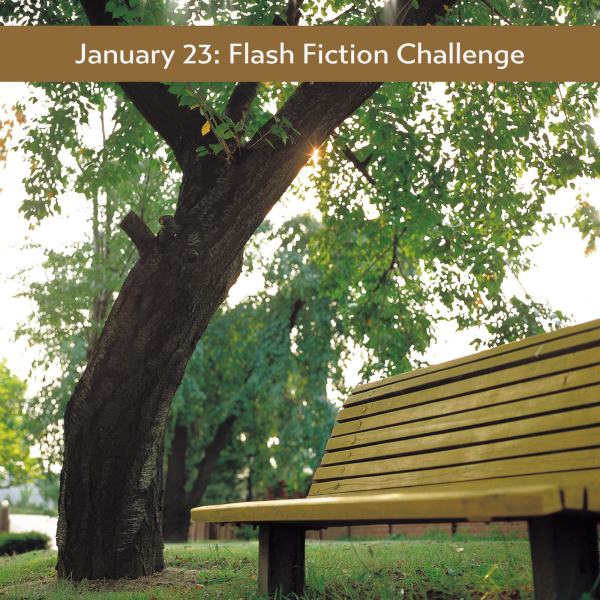 copy-of-working-template-for-ff-challenges28