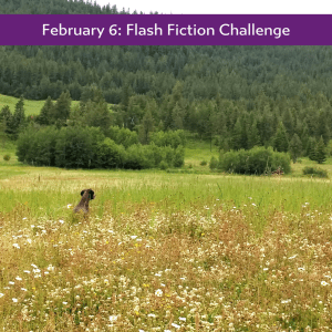 February 6: Flash Fiction Challenge Carrot&nbsp;Ranch
