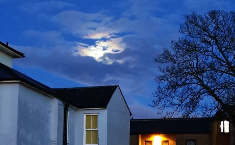 Colleen’s 2019 Weekly #Tanka Tuesday #Poetry Challenge No. 165 #PhotoPrompt #Tanka&nbsp;#Senryu