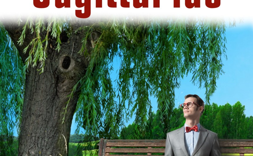 Cover Reveal : Mr Sagittarius – Poetry and Prose #Tanka #Tuesday #Poet’sChoice #Coverreveal #Poetry&nbsp;#Prose