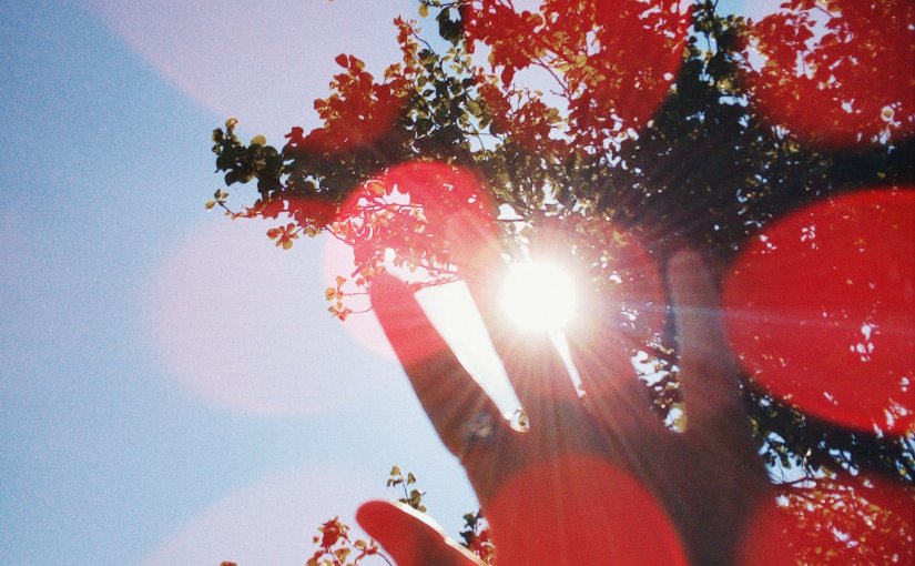 Coronavirus #COV19 #Sunday #Family #Games #Baking #Anxiety&nbsp;#Cats