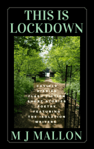 #Bookreview – This is Lockdown by M.J. Mallon – Robbie’s&nbsp;inspiration