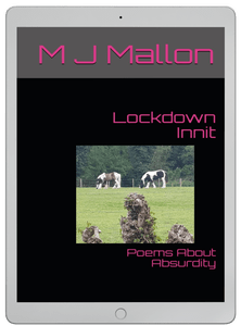 M J Mallon. New book launch! | Lizzie&nbsp;Chantree