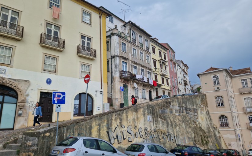 Travel Diary June 2023: Coimbra #Portugal #Coimbra #city #travel #botanicalgardens #University #trees&nbsp;#bambooforest