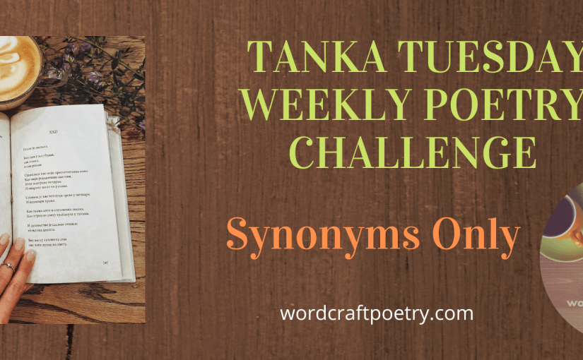 #TANKA TUESDAY #POETRY  CHALLENGE NO. 221 @ColleenChesebro #SYNONYMSONLY