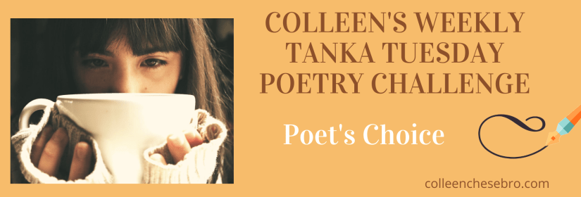 COLLEEN’S 2020 WEEKLY #TANKA TUESDAY #POETRY CHALLENGE NO. 193, #POET’SCHOICE: #senryu #Photo #Meringue #Sweet&nbsp;#Tasty