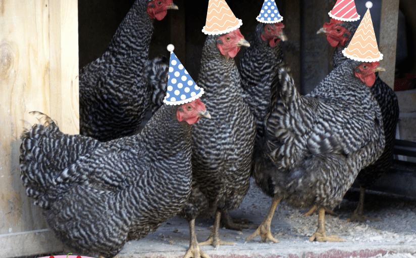 May 6: Flash Fiction Challenge @Charli_Mills #Flash #Fiction&nbsp;#Challenge