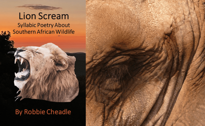 MJ Reviews: Lion Scream by @RobertaEaton17 @bakeandwrite #wildlife #poetry #southafrican #habitat #environment&nbsp;#climatechange