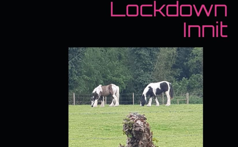 New Book!! Lockdown Innit #coverreveal&nbsp;#preorder