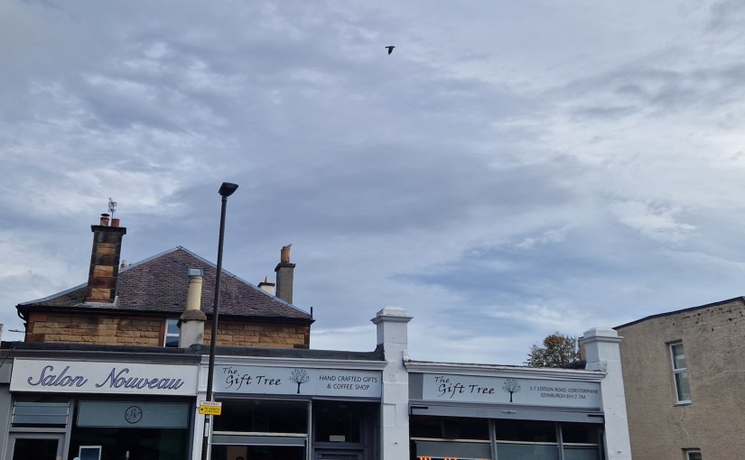 The Gift Tree Cafe #community #cafe&nbsp;#Edinburgh